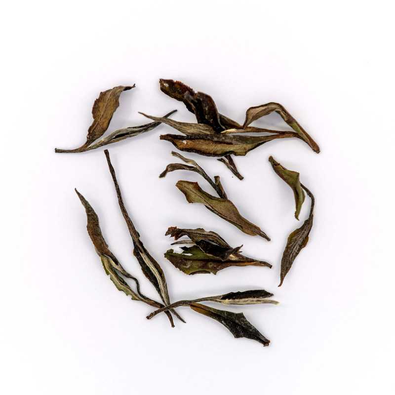 冷泡茶補充裝─有機水仙白原葉