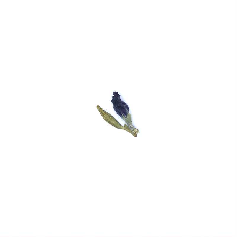 Asian Pigeonwings Longjing leaf