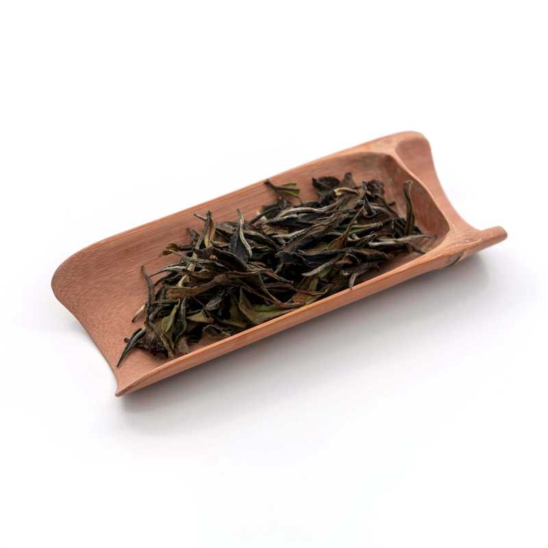 元素系列 - 有機水仙白茶在茶則中