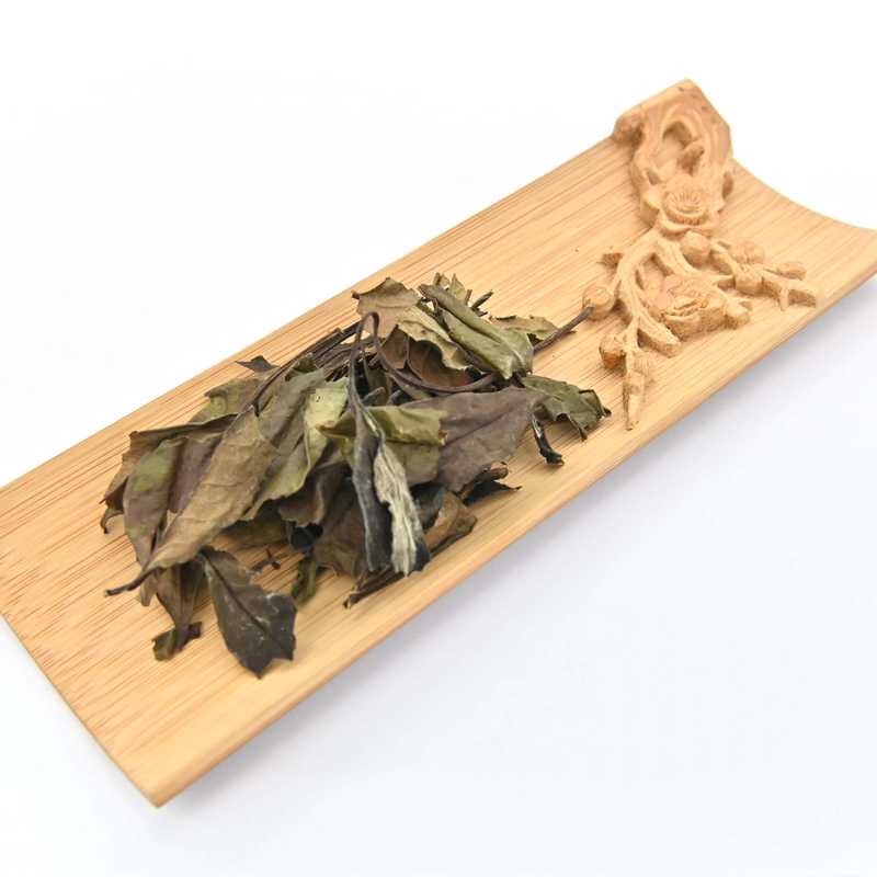 Wild Old Tree White Tea in a scoop