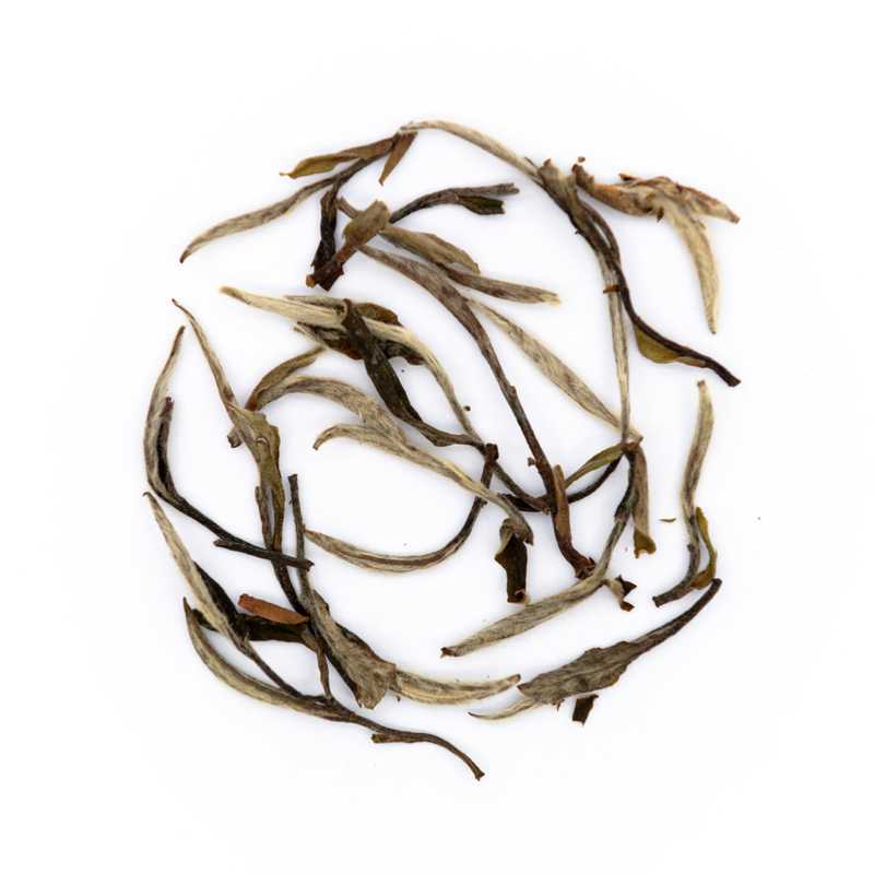 Wild Local Varietal White Tea leaves